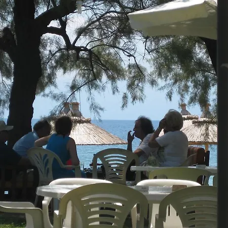Eleni Develiki Ιερισσός